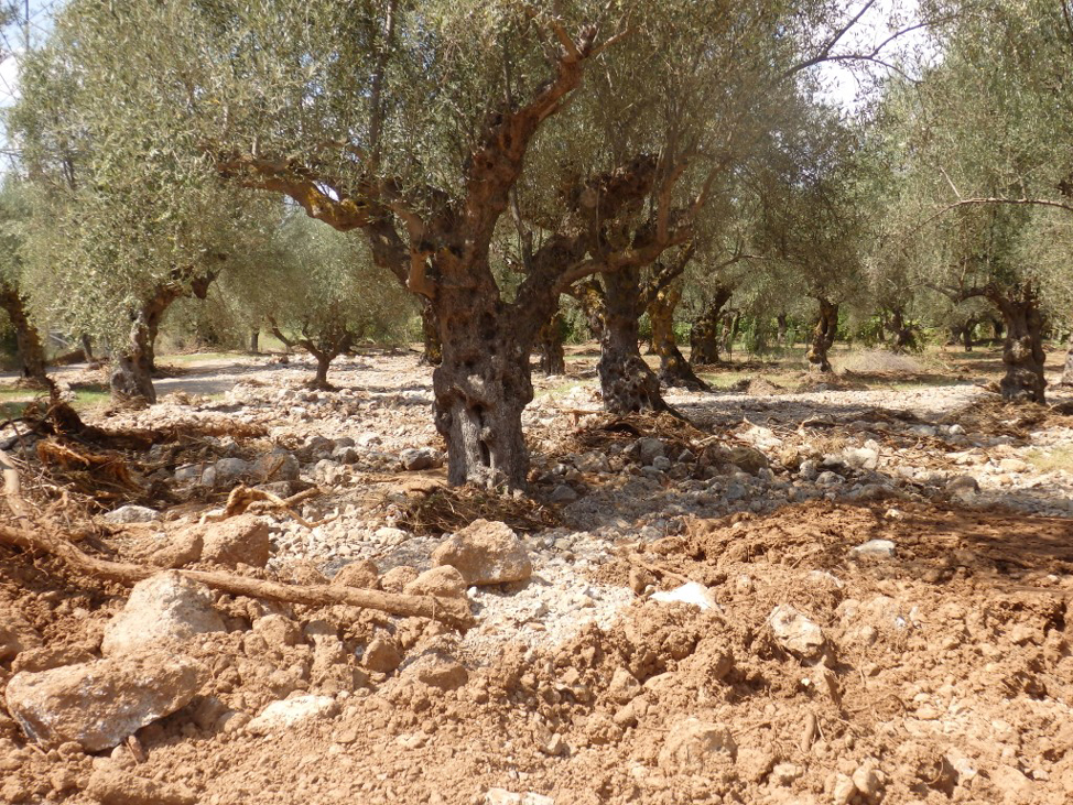 Πάνω από 5 εκατομμύρια ευρώ το κόστος αποκατάστασης των ζημιών από τις πλημμύρες