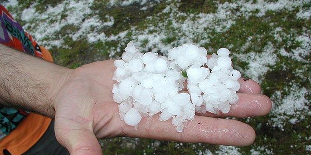 ΕΛΓΑ: Καταγραφή ζημιών από χαλάζι στη Μεσσηνία