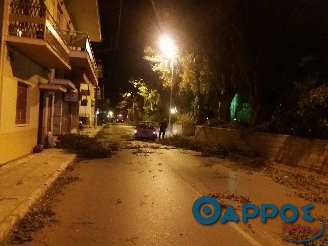 Έκλεισε η Λακωνικής εξαιτίας πτώσεων δέντρων – Προβλήματα σε όλη την πόλη (φωτογραφίες)