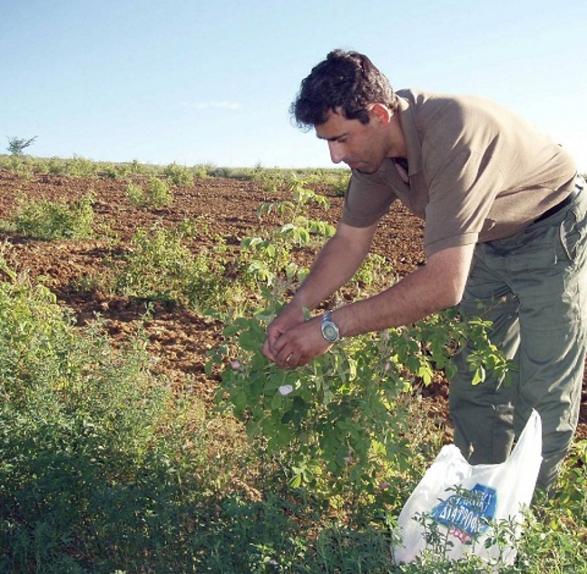 Στο χωράφι αναζητούν την απάντηση στην κρίση