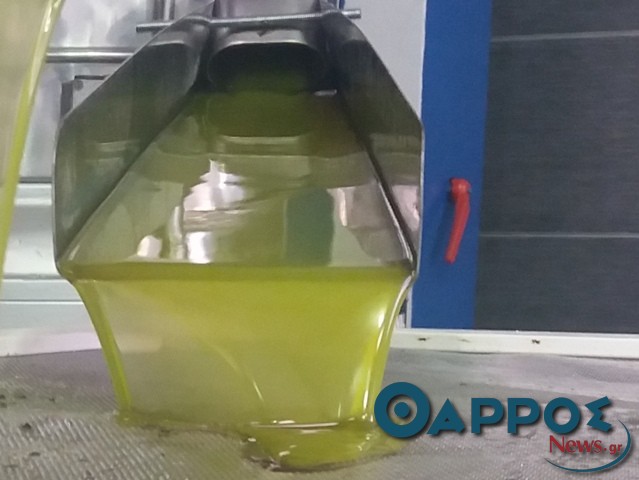 Τατούλης σε Αποστόλου: Παρέμβαση για άμεση λήψη μέτρων προστασίας της ελαιοπαραγωγής του 2017