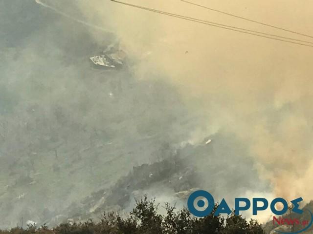 Έσβησε η φωτιά στον Ταΰγετο