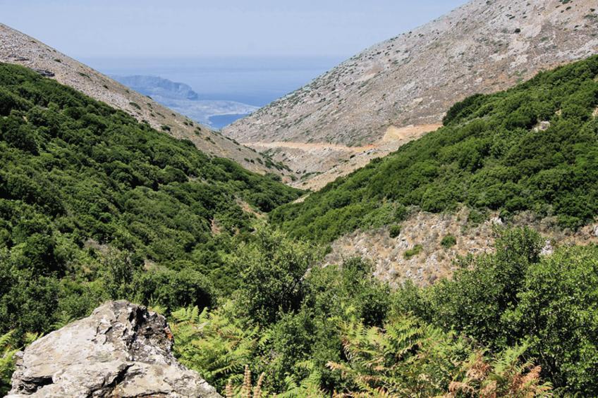 Oι τελικές ρυθμίσεις στους δασικούς χάρτες