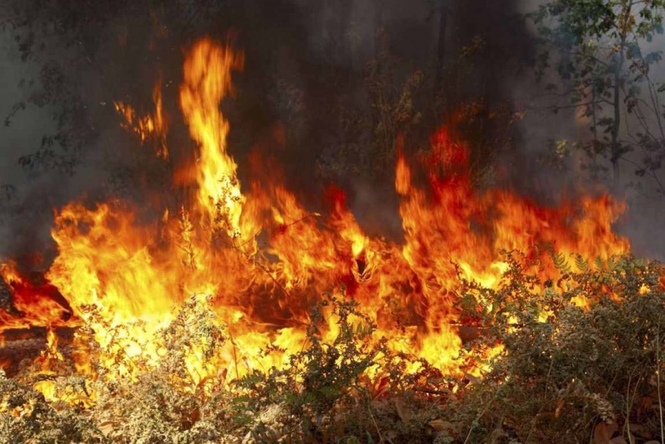 Πολύ υψηλός κίνδυνος πυρκαγιάς σήμερα – Οι περιοχές έχουν τεθεί σε Red Code