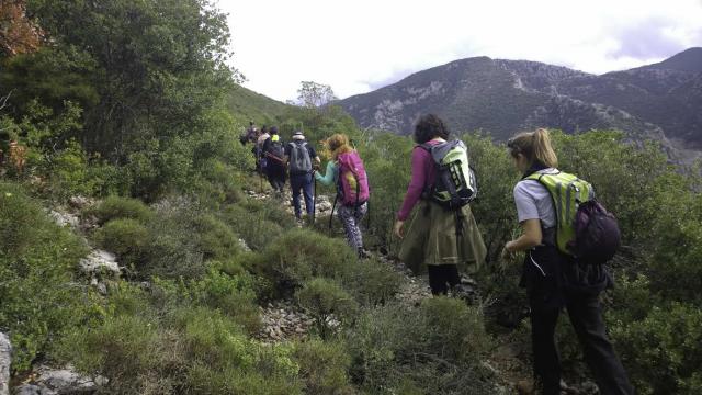 Εξόρμηση στην κεντρική Μεσσηνία με τον Ορειβατικό Σύλλογο Καλαμάτας