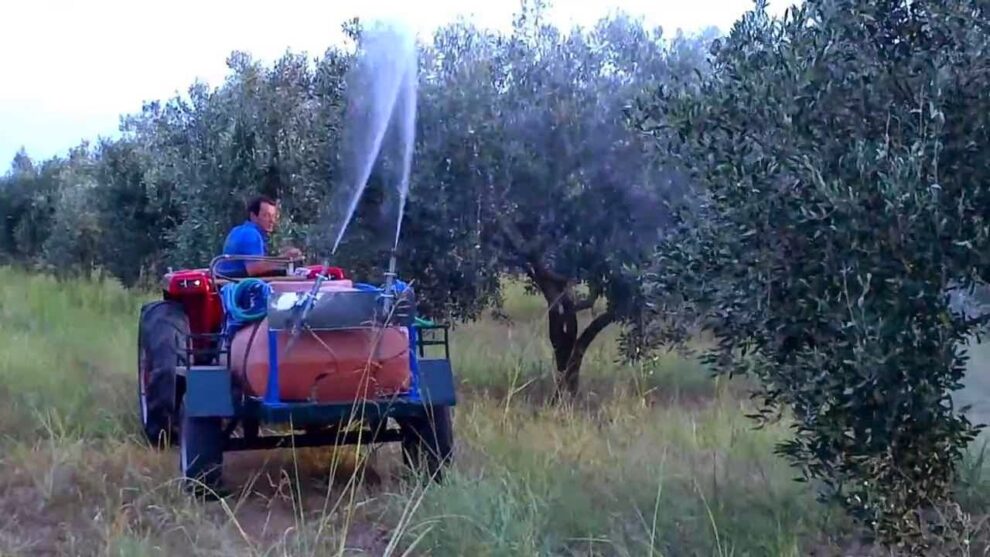 Αλχημείες με επιπλέον χρηματοδότηση για τη δακοκτονία στη Μεσσηνία