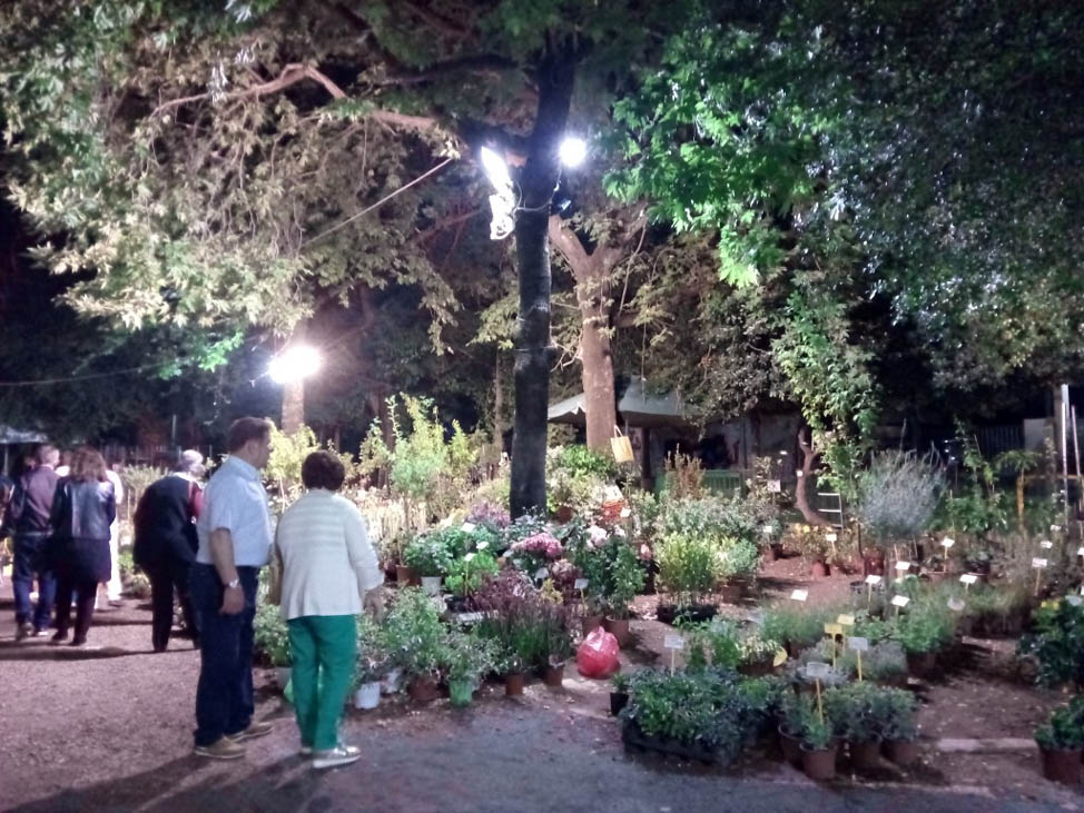 Ολοκληρώθηκε με επιτυχία την περασμένη Κυριακή η 6η Ανθοκομική Έκθεση