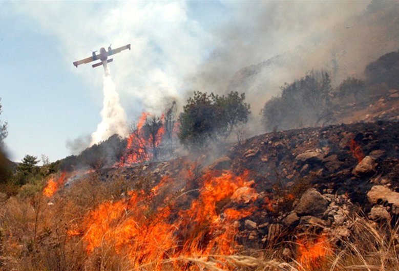 Επερώτηση της Κωνσταντίνας Νικολάκου για τα εναέρια μέσα δασοπυρόσβεσης