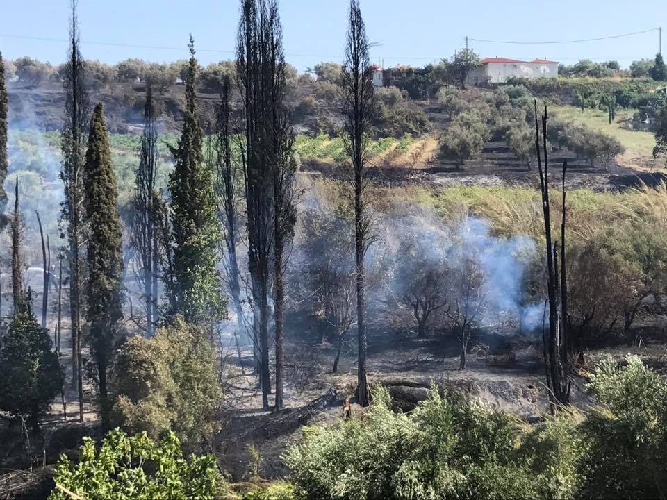 Μεγάλες πυρκαγιές αναστάτωσαν Κορώνη και Άνω Μέλπεια