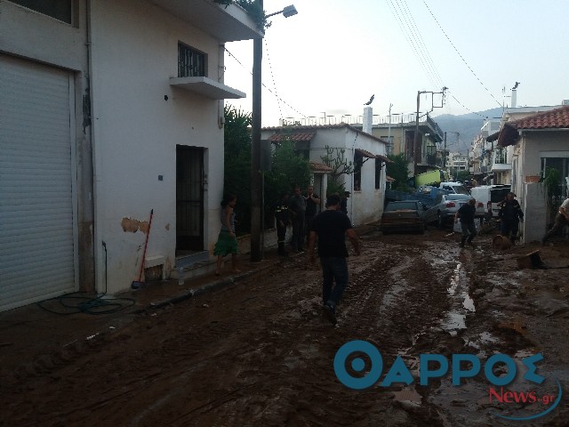Ερωτήσεις Μπρεδήμα για πλημμυροπαθείς και καύσωνα