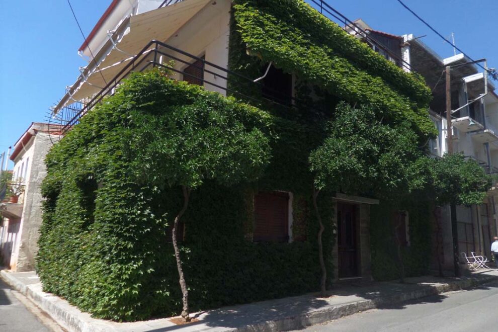 Πράσινο σπίτι…