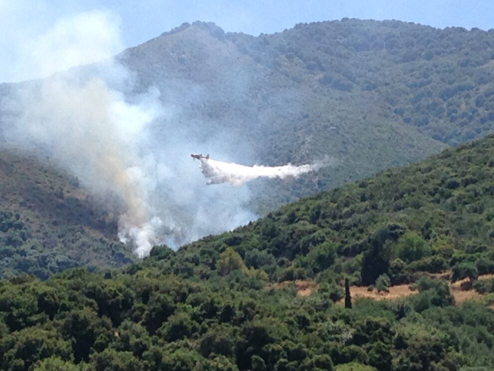 Φωτιά στη “Βίγλα” Κυπαρισσίας