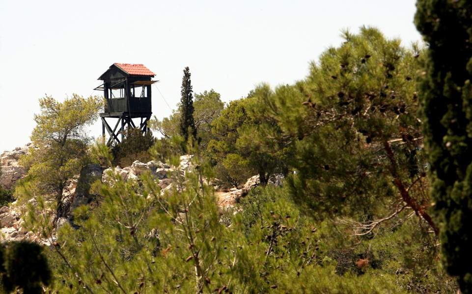 «Ούτε με ρυθμούς χελώνας»  οι δασικοί χάρτες στη Μεσσηνία