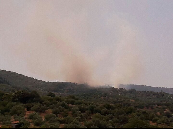 Φωτιά στην Καστανιά Πεταλιδίου