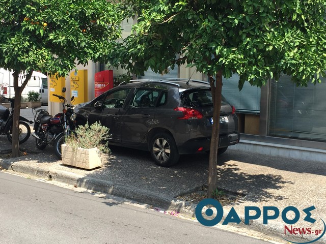 Ήθελε ίσκιο…