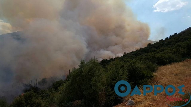 Φωτιά στους Άνω Μπλεμενιάνους Κυπαρισσίας
