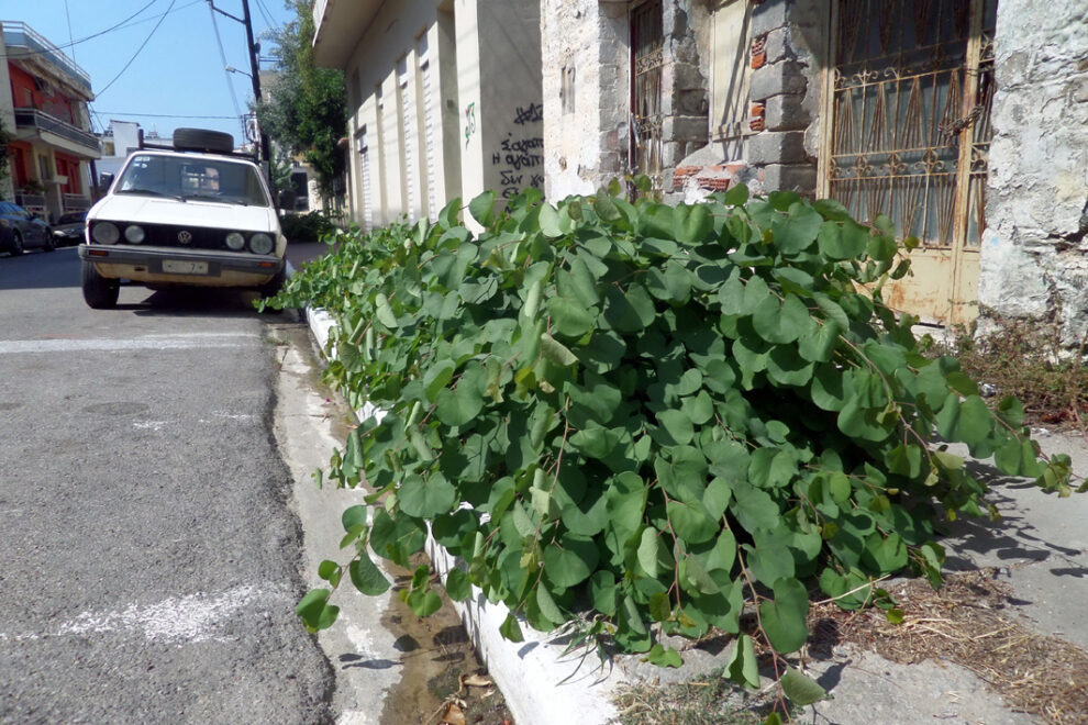 Τα δικαιώματα ενός πεζοδρόμου…