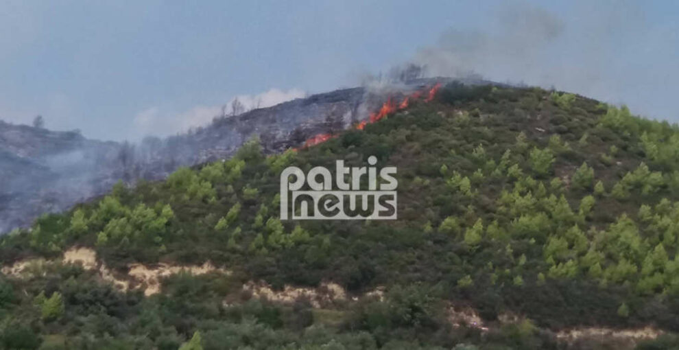 Μεγάλη πυρκαγιά στα Διάσελλα Ηλείας – Καίγεται δασική έκταση, κινδύνεψε ηλικιωμένη