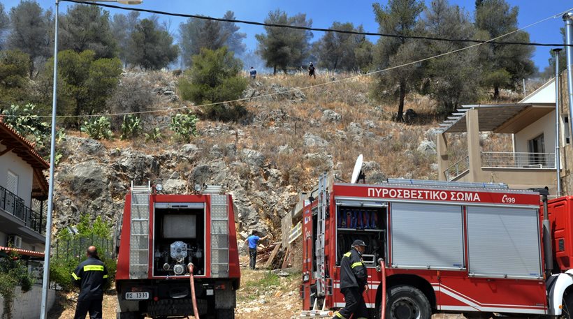 Μεγάλη φωτιά σε δασική περιοχή της Μεγαλόπολης!