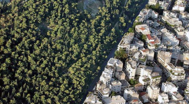 Ανακοινώθηκαν προσλήψεις δασολόγων και δασοπόνων για το έργο των δασικών χαρτών
