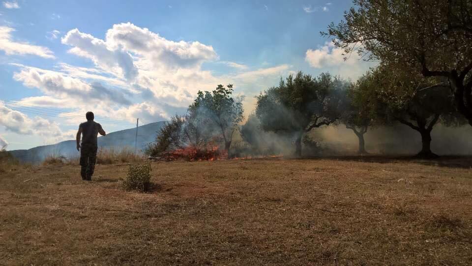 Προβληματίζουν οι πυρκαγιές σε Στασιό και Αετό