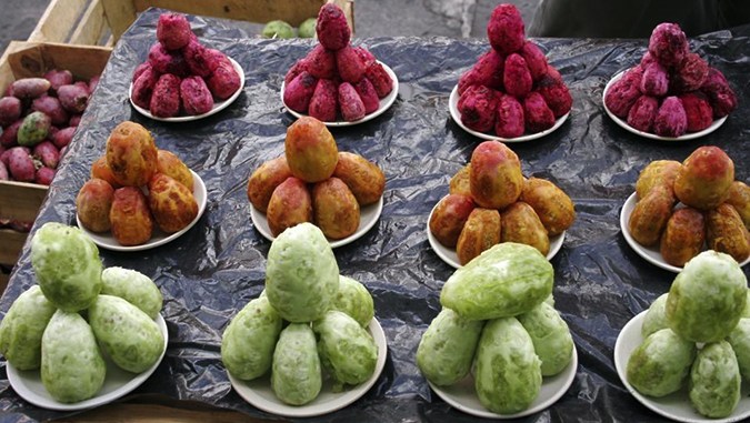 Cactus Nopales: Ανακαλύψτε τα φραγκόσυκα