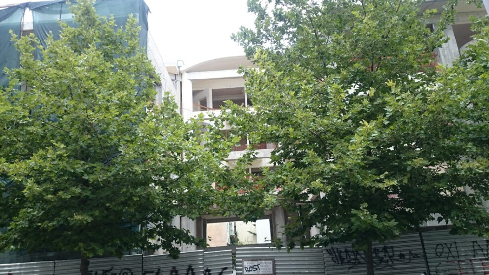 Τα πλατάνια της Καλαμάτας…