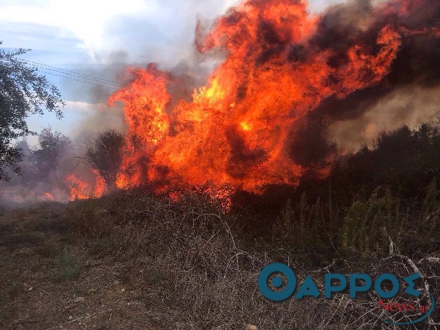 Φωτιά στο Μεμί Κυπαρισσίας