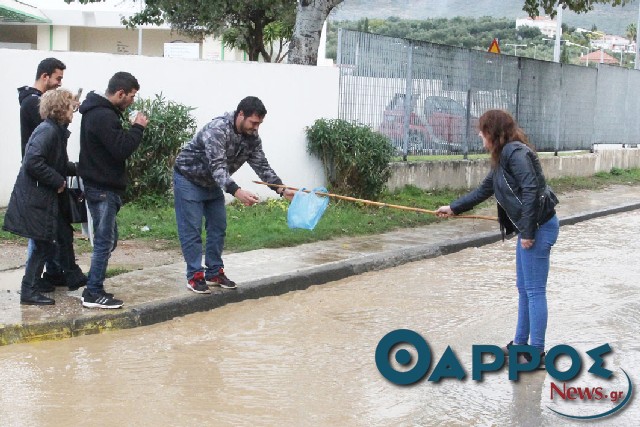 Από τα ωραία της πλημμύρας