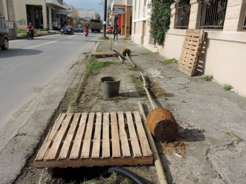 Φυτεύσεις σφενδάμων στην οδό Λυκούργου