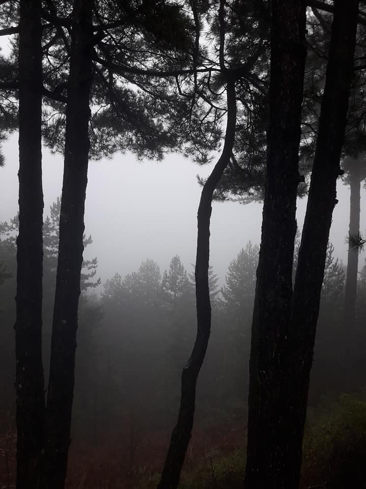 Χιονίζει από το πρωί στον Ταΰγετο!