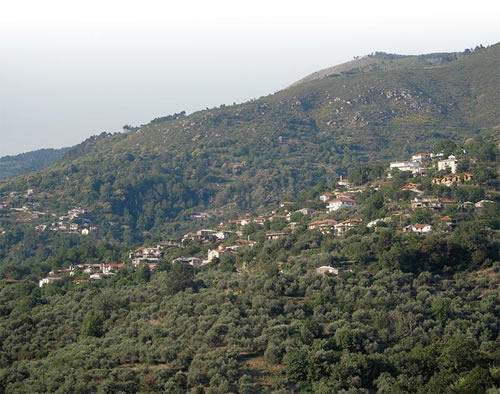 Παρεμβάσεις σε Αλαγονία και Πηγές