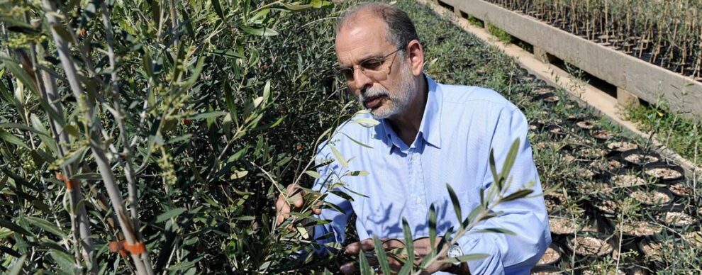 ΗΠΑ, μακρινό όνειρο του Έλληνα εξαγωγέα