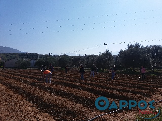 Αντίθετο το ΓΕΩΤΕΕ Πελοποννήσου στη μετατροπή γεωτεχνικών τμημάτων ΤΕΙ σε ΑΕΙ