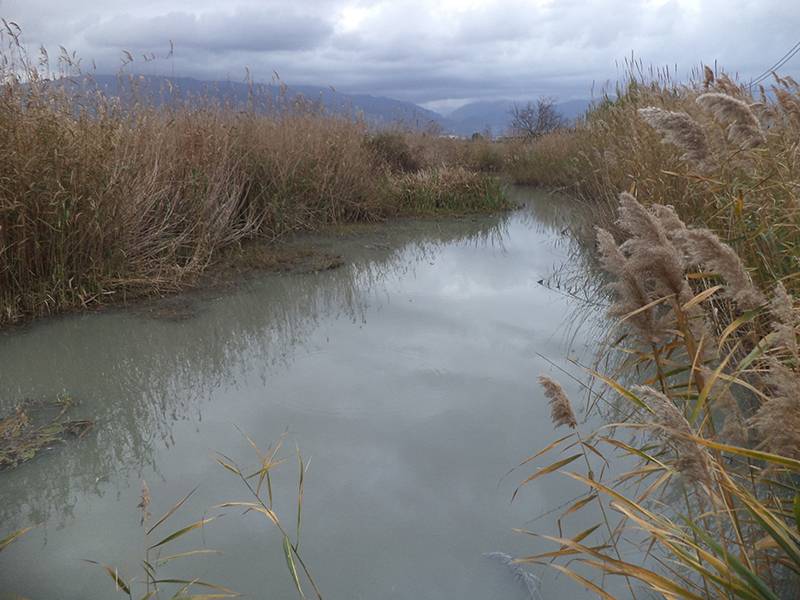 Μεσσηνία: Καταγγελίες για επιβάρυνση υδάτινων αποδεκτών με απόβλητα