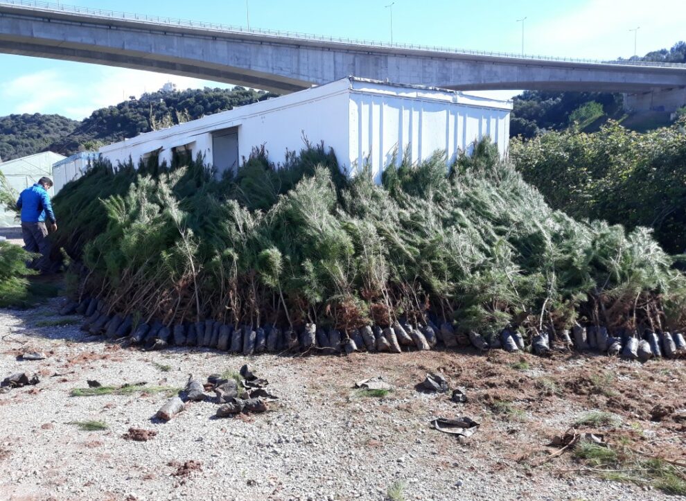 Καλαμάτα Πράσινη Πόλη