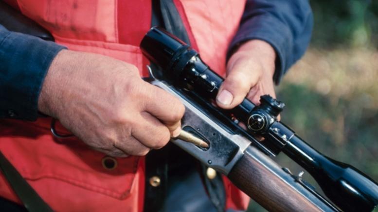 18 μήνες φυλάκισης και 5.300 ευρώ πρόστιμο για θανάτωση σκύλου με καραμπίνα