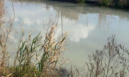 Η ρύπανση στη Δυτική Παραλία