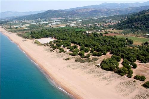 Ελαία: Αναδάσωση αύριο από το Σύλλογο Φίλων Δάσους