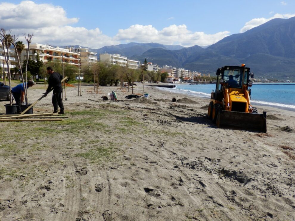 Φυτεύονται αλμυρίκια στο παραλιακό μέτωπο
