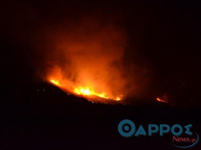 Νέα φωτιά ξέσπασε στη Μάνη
