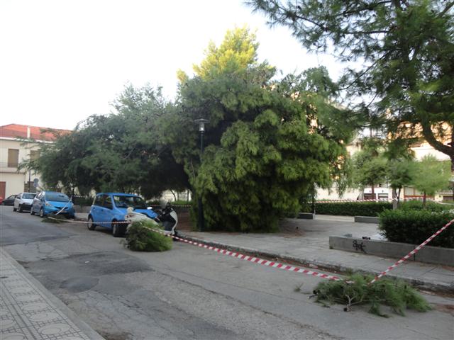 Τραπεζοκαθίσματα στη Μαυρομιχάλη
