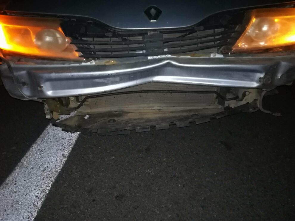 Τροχαίο με αγριογούρουνο είχε νεαρή στην Ε.Ο. Γαργαλιάνοι – Ρωμανού