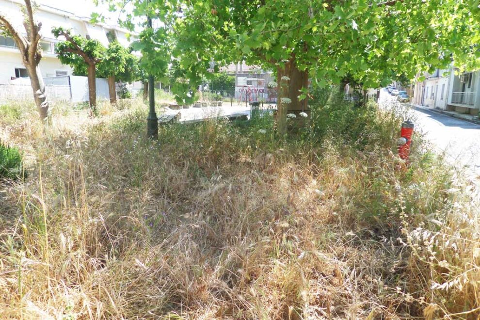 Πάρκο…ζούγκλα