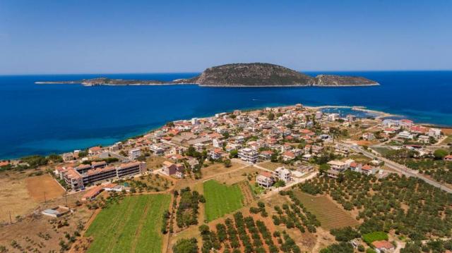 Επαγγελματίες της Μαραθόπολης διαμαρτύρονται για τα αδέσποτα