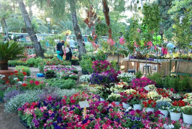 Ξεκινά αύριο η 7η Ανθοκομική Έκθεση Καλαμάτας