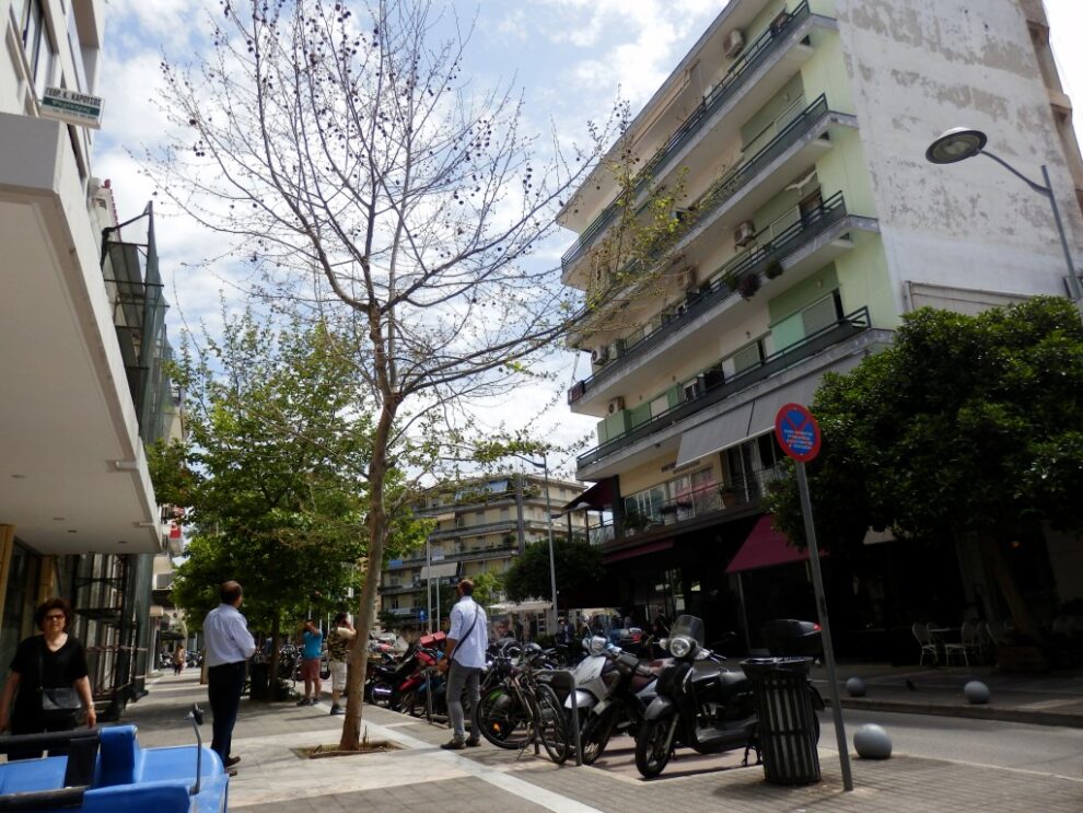 «Σκοτώνουν» τα πλατάνια