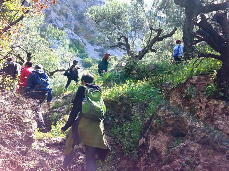 “Πράσινο” για το καλντερίμι Κάτω Βέργα-Άνω Βέργα-Καλάθι