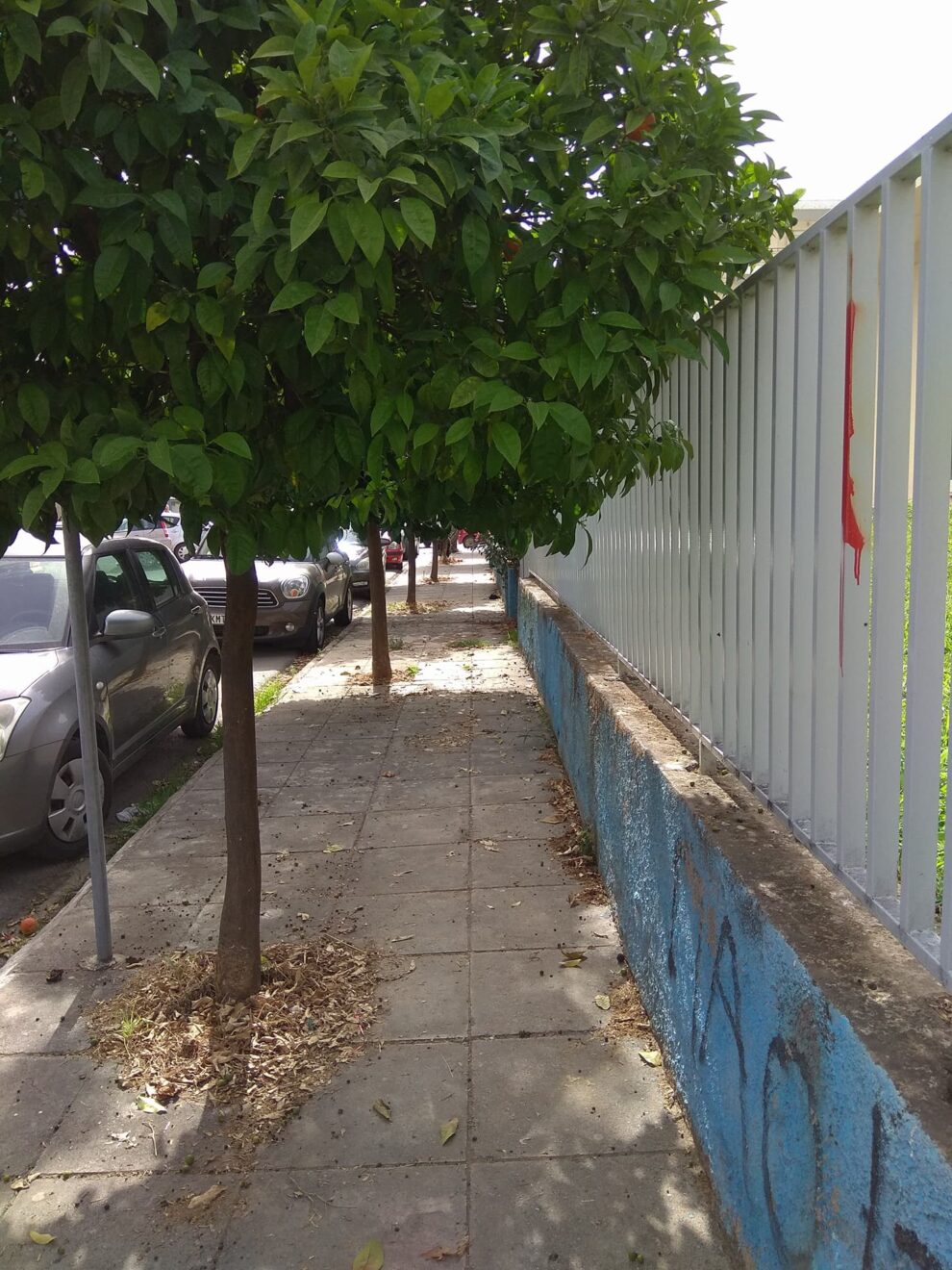 Ούτε μικρό παιδί χωράει να περάσει