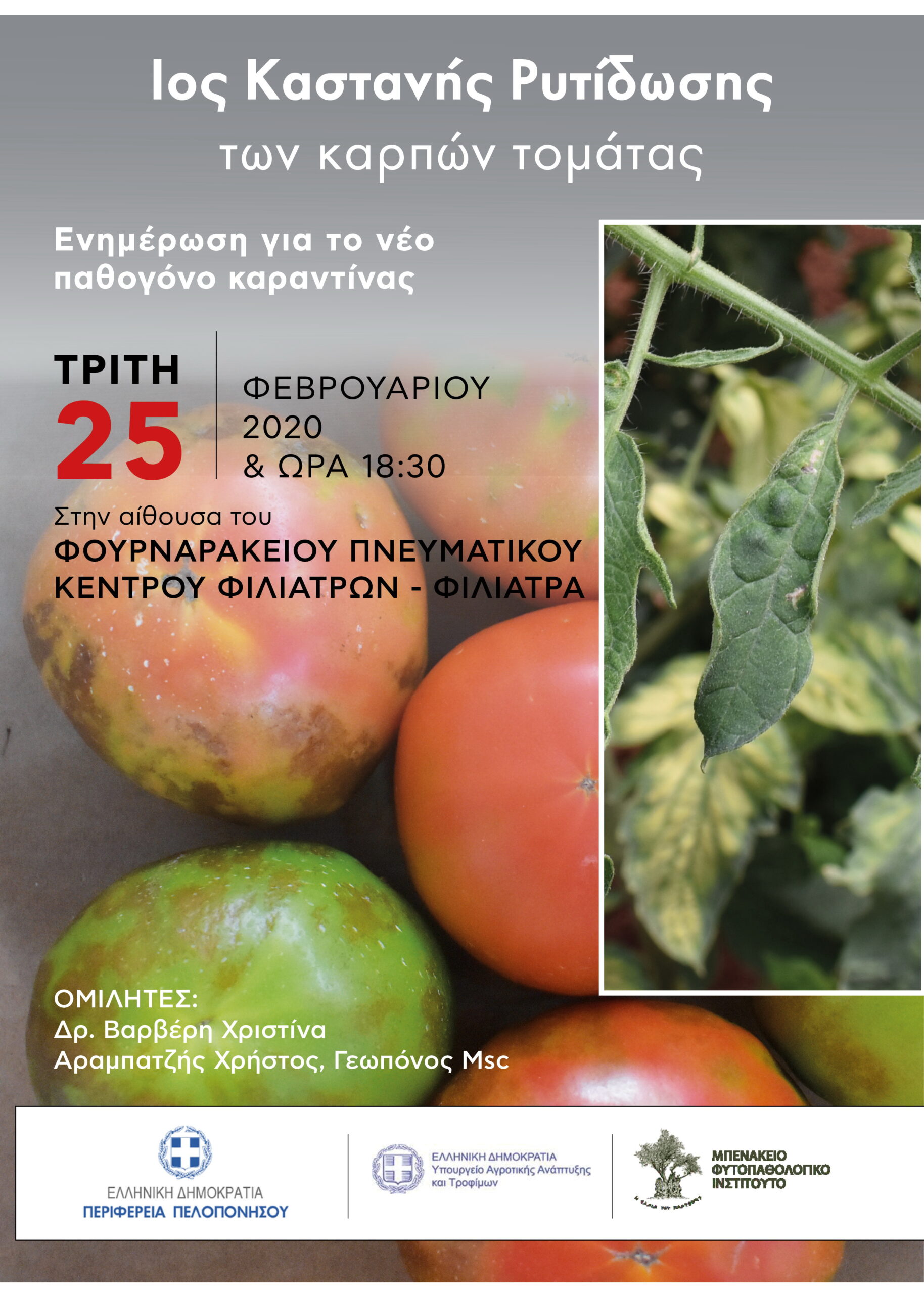 Φιλιατρά: Εσπερίδα σήμερα για τον ιό της καστανής  ρυτίδωσης των καρπών τομάτας